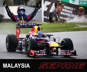 Puzzle Sebastian Vettel γιορτάζει τη νίκη του στο Grand Prix της Μαλαισίας 2013